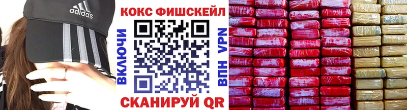 где найти наркотики  Пятигорск  МЕГА как войти  Cocaine VHQ 
