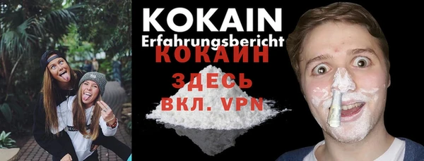 амф Липки