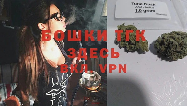 амф Липки