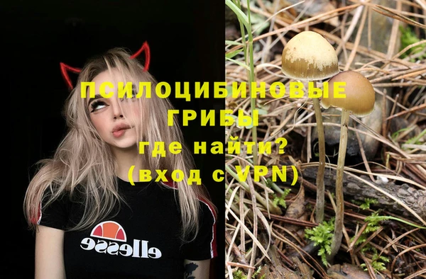 спиды Лагань