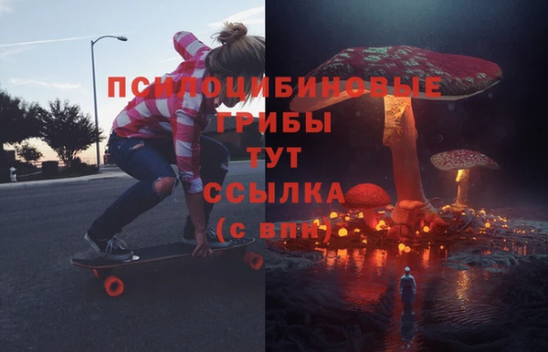 спиды Лагань