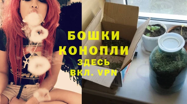 метадон Ладушкин