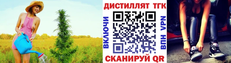 где найти   Пятигорск  Дистиллят ТГК гашишное масло 