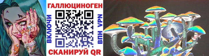 МЕГА tor  Пятигорск  Псилоцибиновые грибы GOLDEN TEACHER  купить  цена 