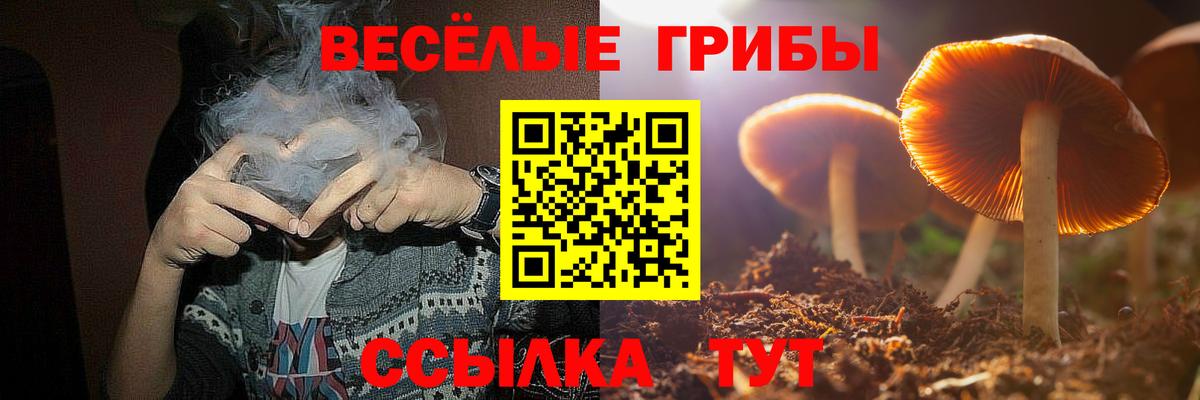 Галлюциногенные грибы ЛСД  Вход с VPN  Пятигорск 