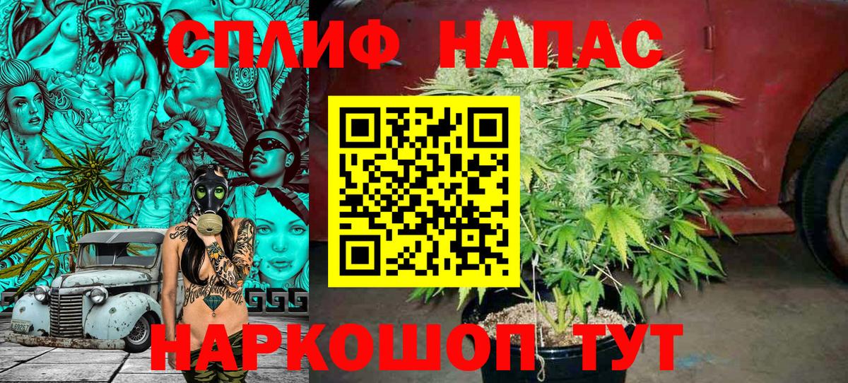 Бошки марихуана марихуана Пятигорск